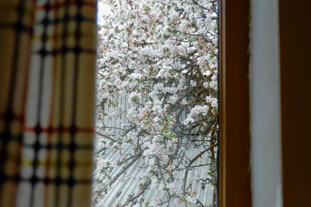 Dil Hill By Sam Bed & Breakfast ดีลีจาน ภายนอก รูปภาพ