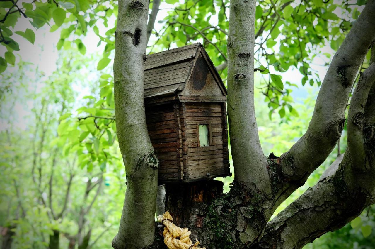 Dil Hill By Sam Bed & Breakfast ดีลีจาน ภายนอก รูปภาพ